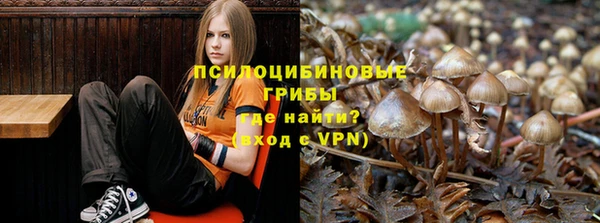 каннабис Лабытнанги
