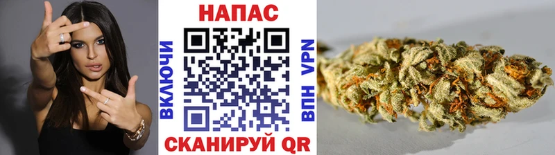 Конопля семена Нефтегорск